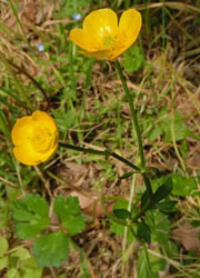 200623_u_asigata1.jpg