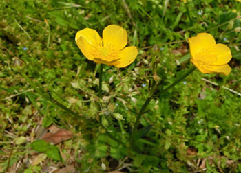 200623_u_asigata2.jpg