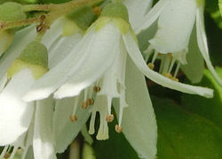 200802_utugi4.jpg