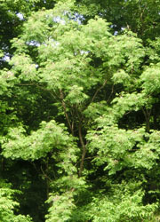 200805_outi1.jpg