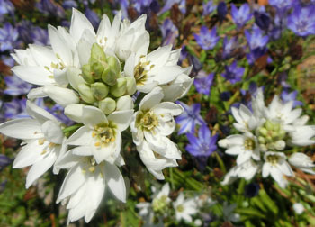 200825_ixia.jpg