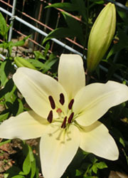 200825_yuri10.jpg