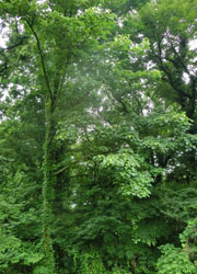 200829_iigiri1.jpg