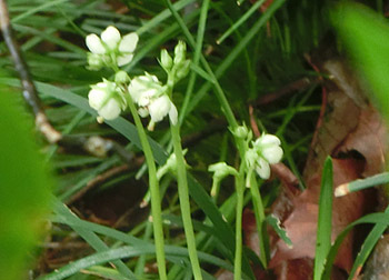 200829_itiyaku_s6.jpg