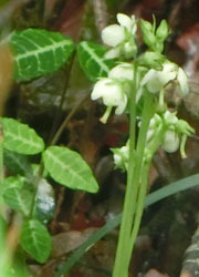 200829_itiyaku_s7.jpg