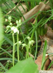 200904_itiyaku_s2.jpg