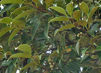 200914_sidajii.jpg