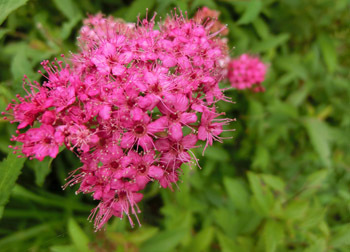 200918_simotuke1.jpg