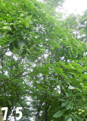 200918_teuti_g1.jpg