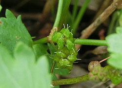 200919_notidome7.jpg