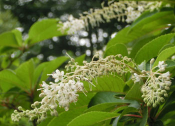 200920_ryoubu2.jpg