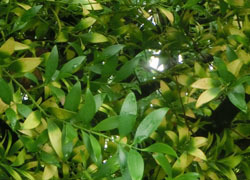 201004_nagi2.jpg