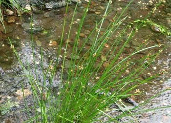 201005_sankakui1.jpg