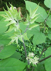 201012_udo2.jpg