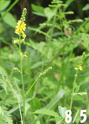 201015_k_mizuhiki1.jpg