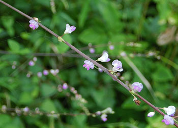 201015_nusubito_h2.jpg