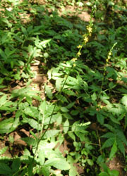 201016_h_k_mizuhiki1.jpg