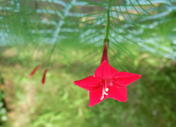 201020_ruko_s3.jpg