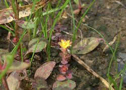 201025_k_otogiri.jpg