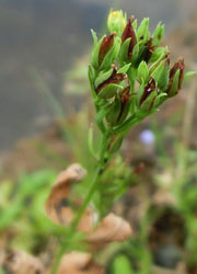 201025_otogiri_s.jpg