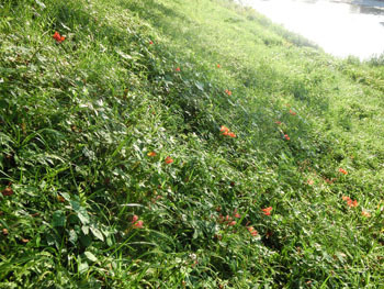 201026_k_kamisori3.jpg