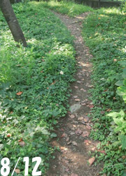 201029_miti1.jpg