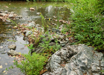 201109_k_mizuhiki8.jpg
