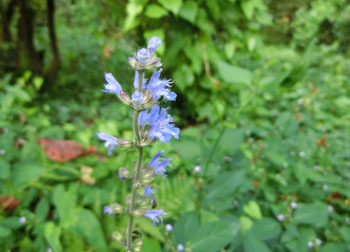 201116_a_tamura_s6.jpg