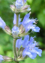 201116_a_tamura_s7.jpg