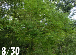 201117_aohada1.jpg