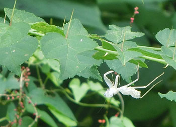 201117_taranoki.jpg