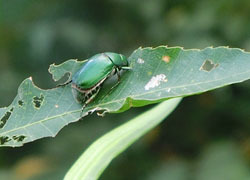 201119_kanabun.jpg