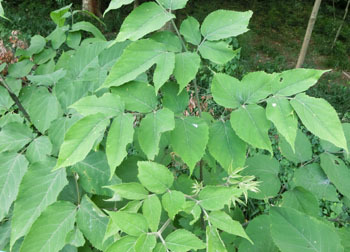 201119_udo.jpg