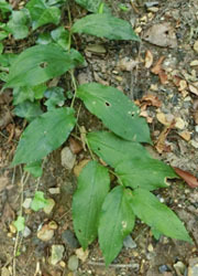 201119_yamajino_h1.jpg