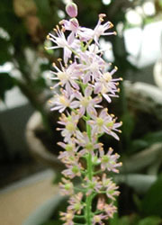201122_turubo3.jpg