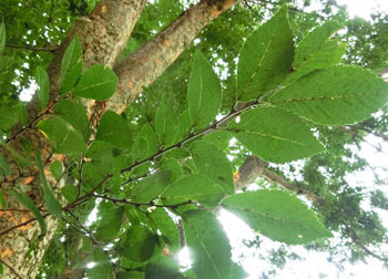201125_akinire1.jpg