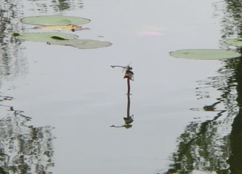 201125_utiwa_y1.jpg