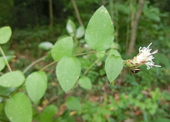 201229_koyaboki4.jpg