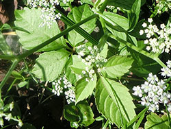 210114_seri2.jpg