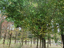 210116_nagi1.jpg