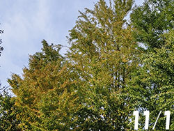 210120_ityo.jpg