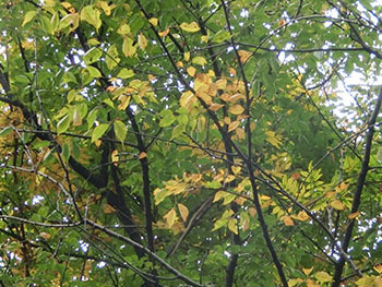 210122_uwamizu_z.jpg