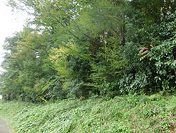 210124_y_urusi1.jpg