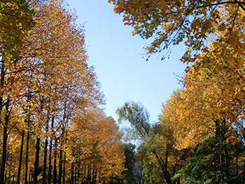 210126_yurinoki4.jpg
