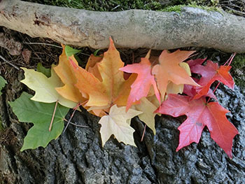 210129_sato_k3.jpg