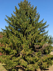 210217_d_touhi2.jpg