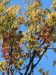 210221_kiduta.jpg