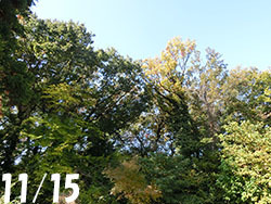210221_zokibayasi1.jpg