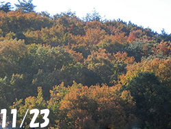 210225_yama.jpg