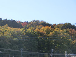210301_yama1.jpg